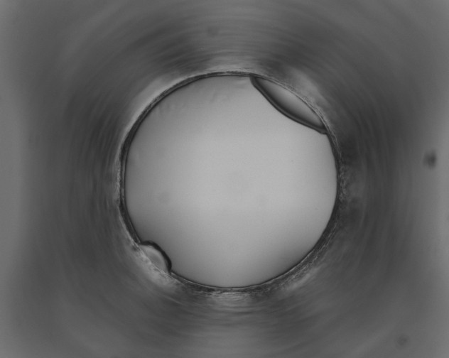 X0000090921140200708271019