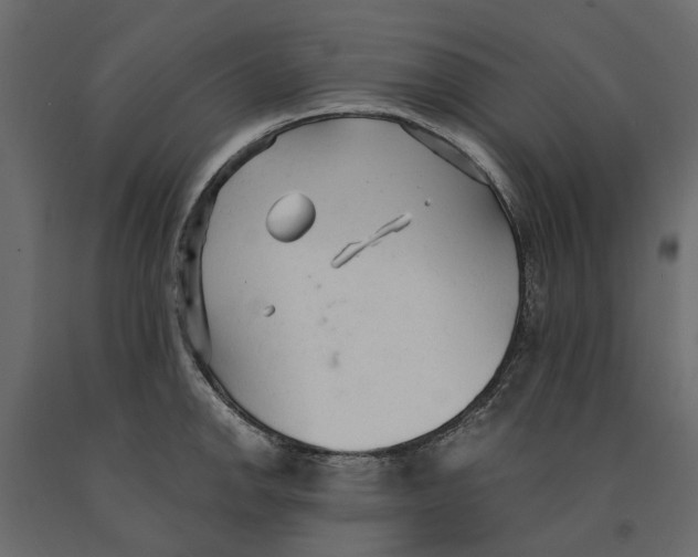 X0000090921142200708271019