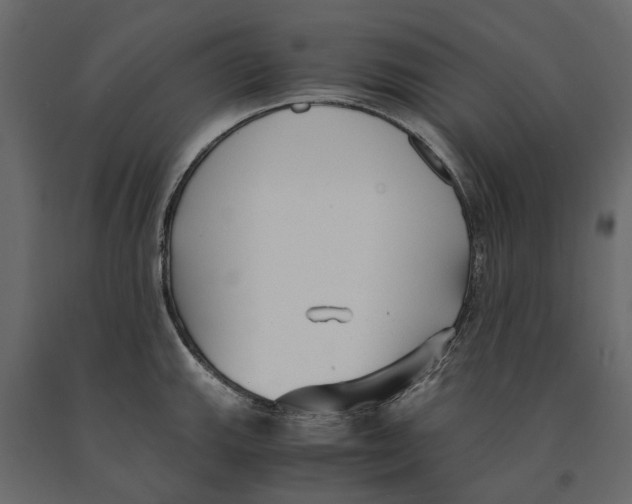 X0000090921143200708271019