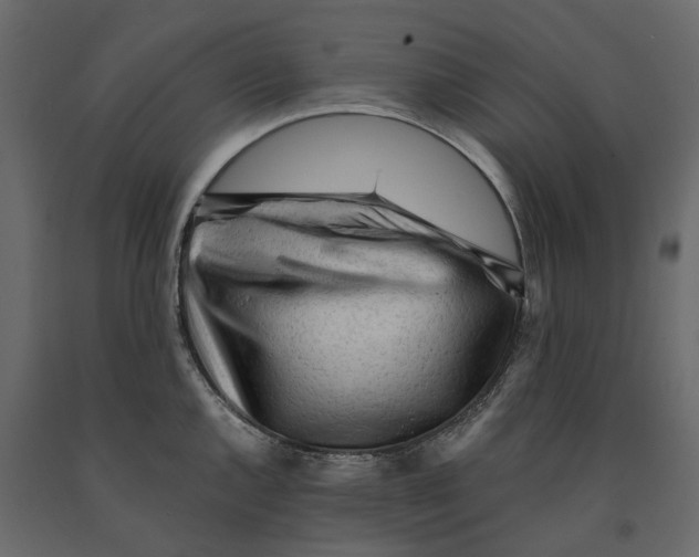 X0000090921144200708271019