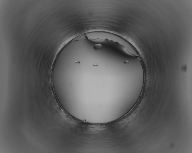 X0000090921145200708271019