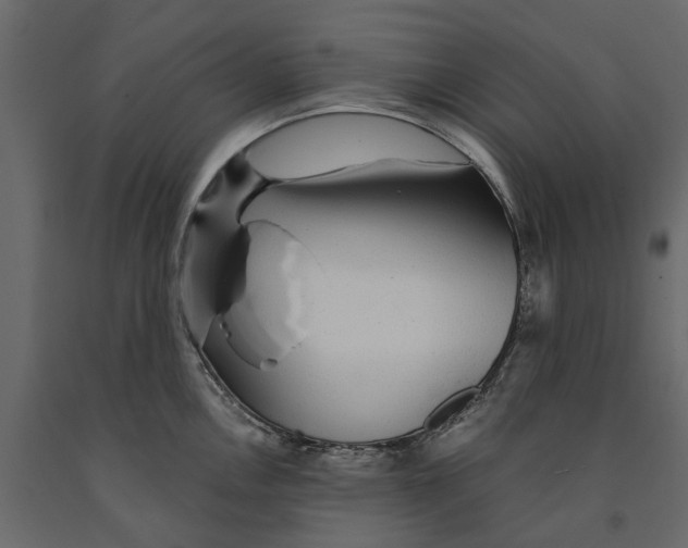 X0000090921146200708271019