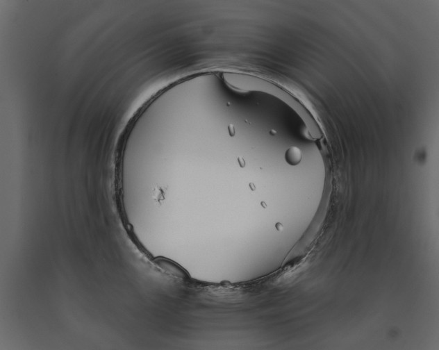 X0000090921147200708271019