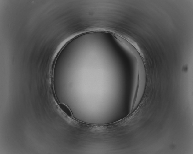 X0000090921148200708271019