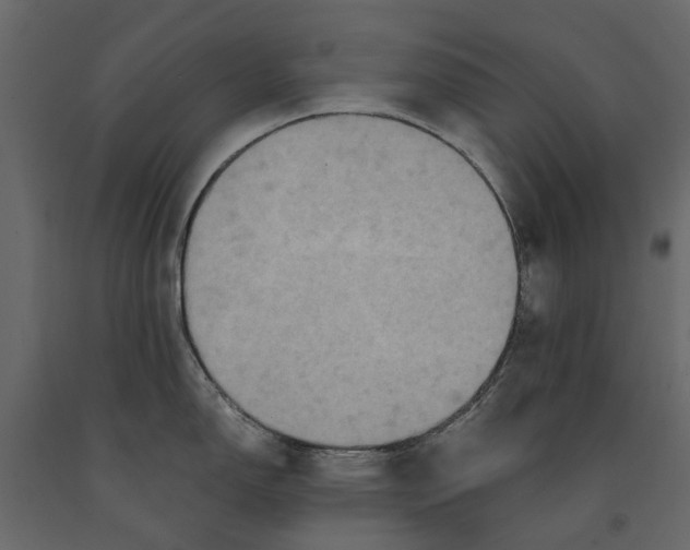 X0000090921150200708271019