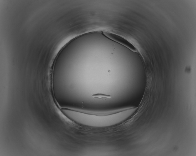 X0000090921151200708271019