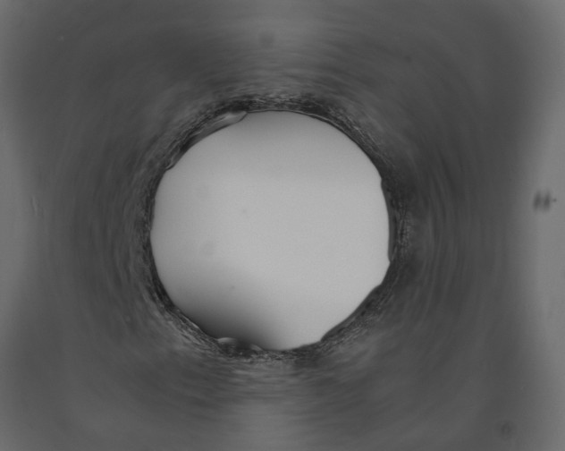 X0000090921153200708271019