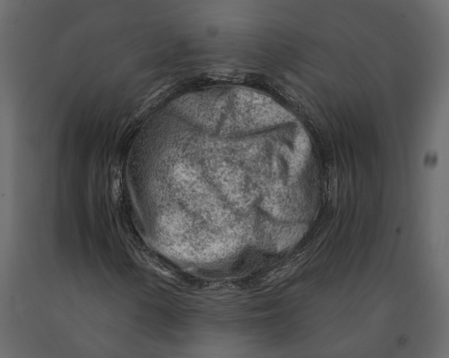 X0000090921154200708271019