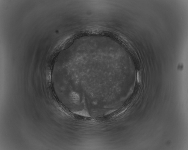 X0000090921155200708271019