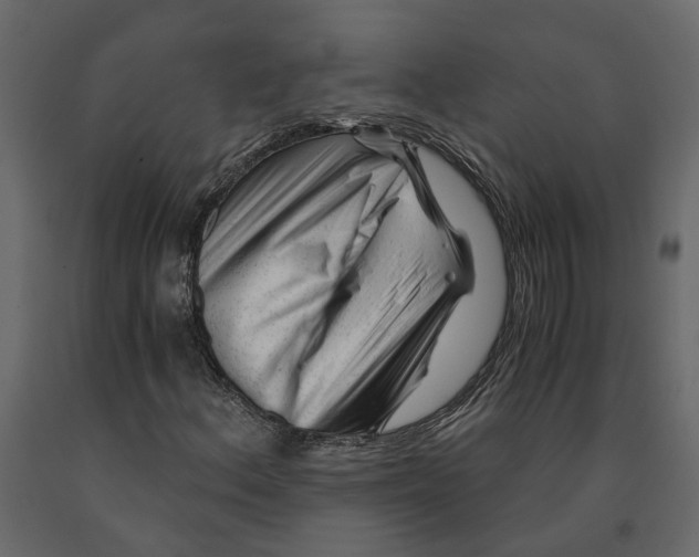 X0000090921156200708271019