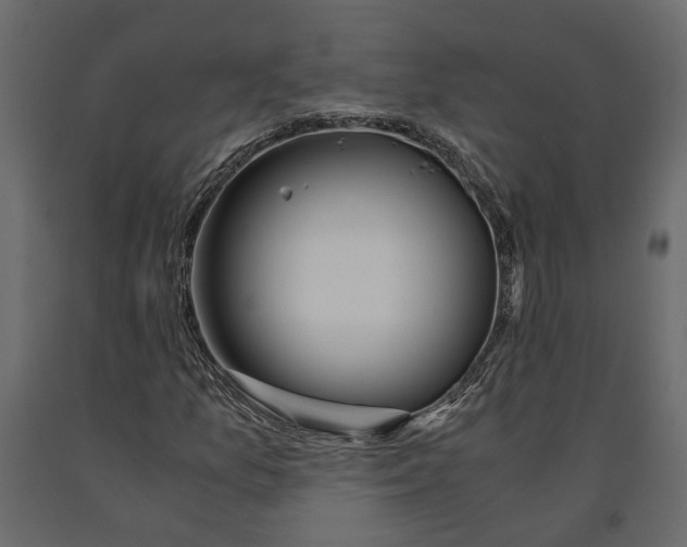 X0000090921157200708271019