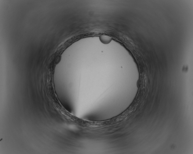 X0000090921158200708271019