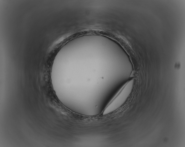 X0000090921159200708271019