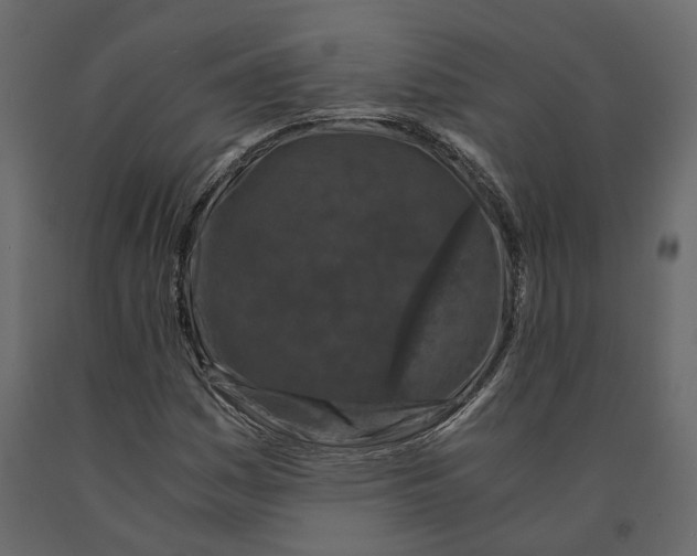 X0000090921161200708271019