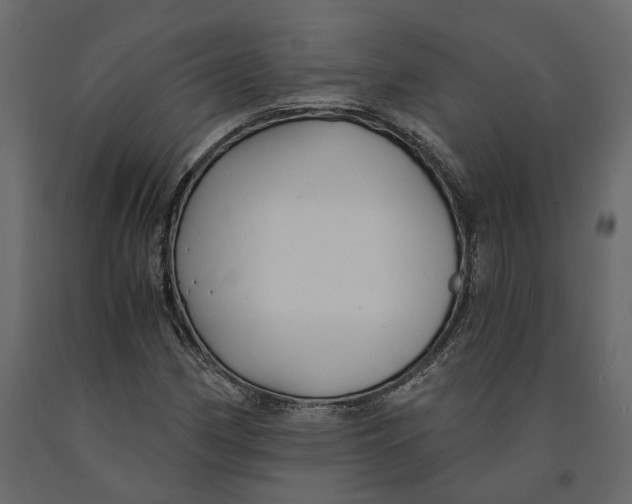 X0000090921162200708271019