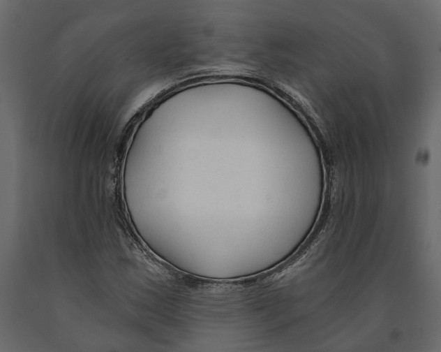 X0000090921163200708271019