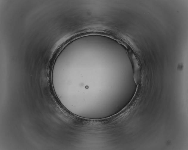 X0000090921164200708271019