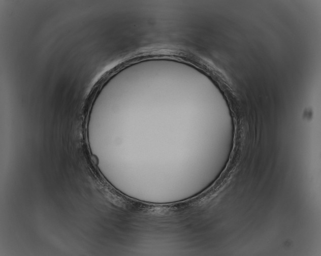 X0000090921166200708271019