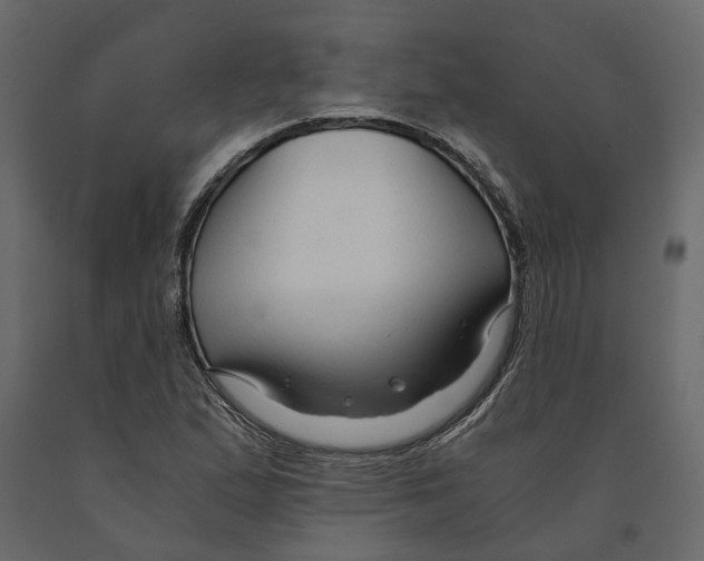 X0000090921167200708271019