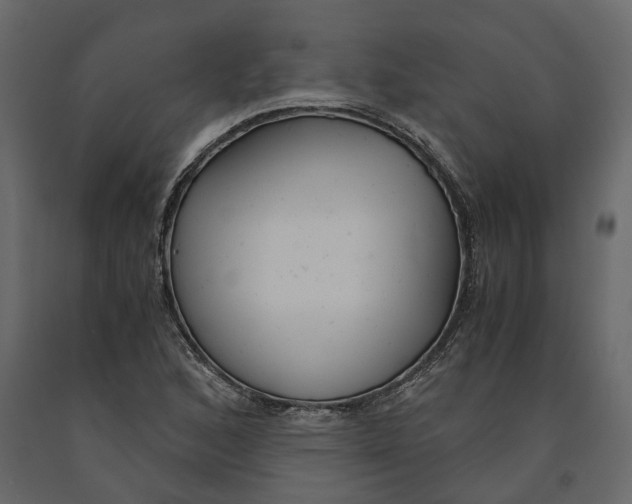 X0000090921168200708271018