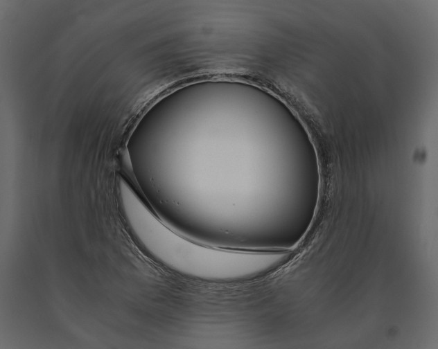 X0000090921169200708271018