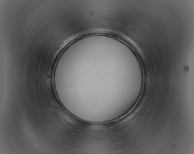 X0000090921170200708271018