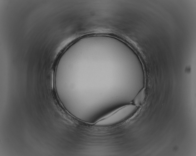 X0000090921171200708271018