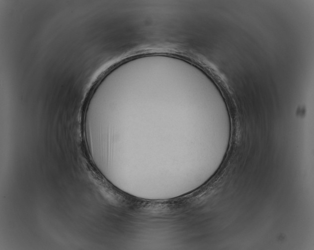 X0000090921174200708271018