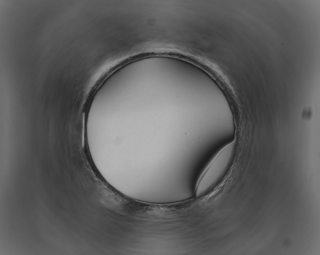 X0000090921175200708271018