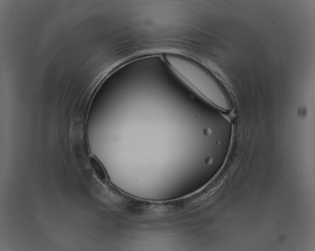 X0000090921177200708271018