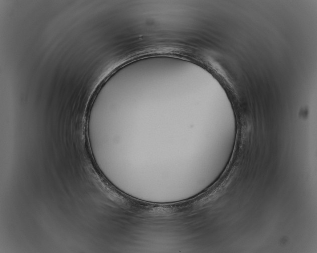 X0000090921178200708271018