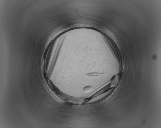 X0000090921179200708271018