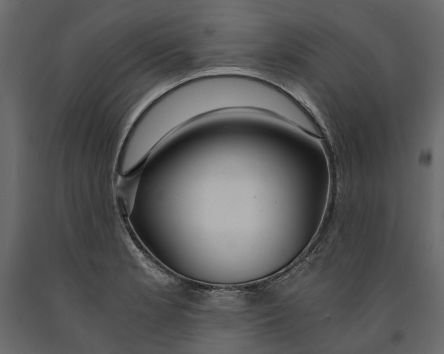 X0000090921181200708271018