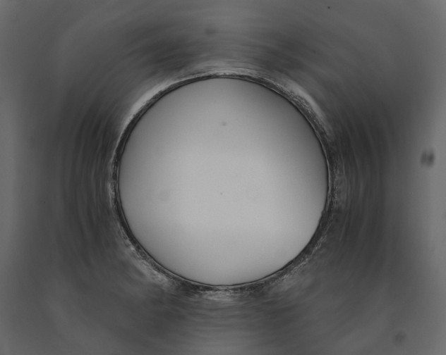 X0000090921182200708271018