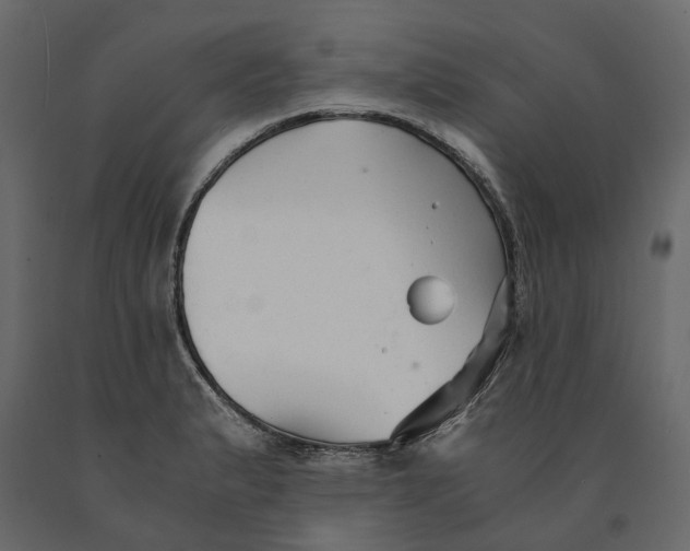 X0000090921183200708271018