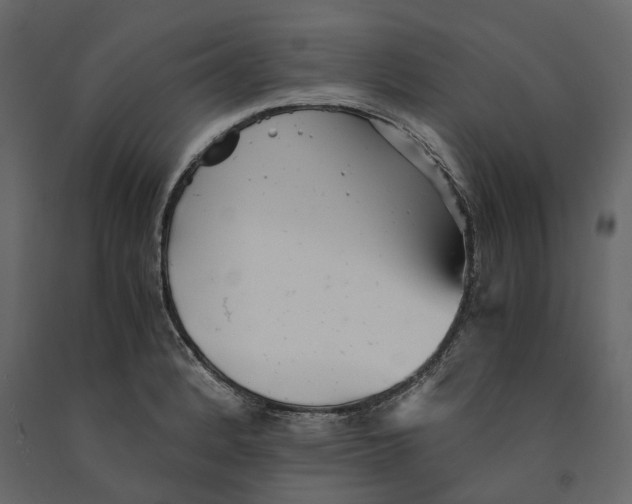 X0000090921184200708271018