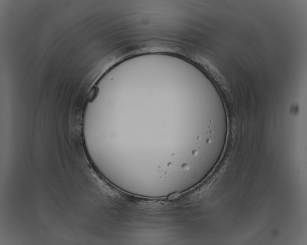 X0000090921185200708271018