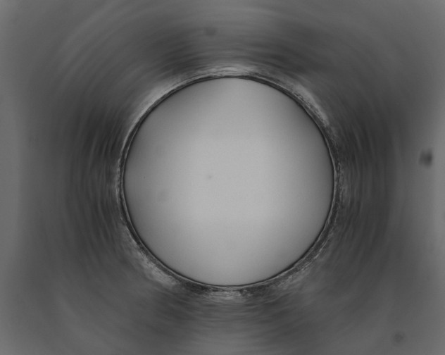 X0000090921186200708271018