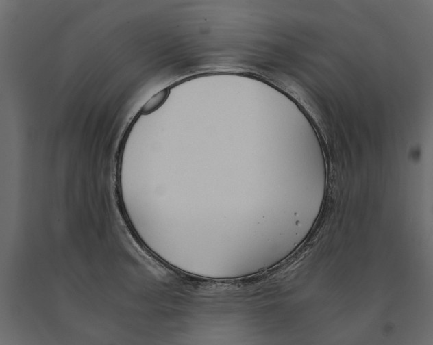 X0000090921187200708271018