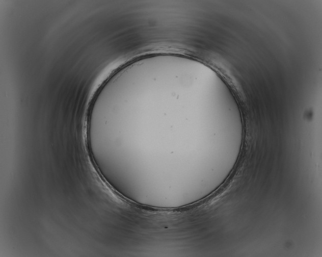 X0000090921188200708271018