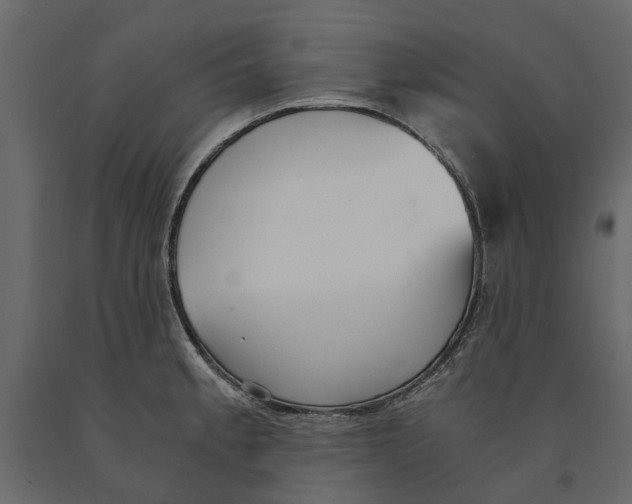 X0000090921189200708271018