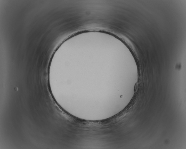 X0000090921191200708271018