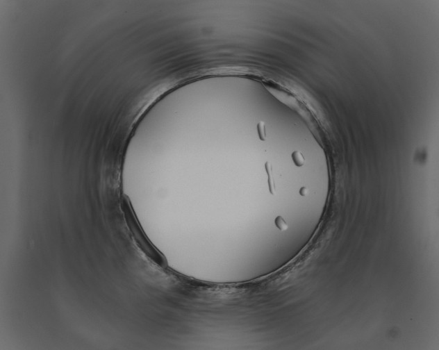 X0000090921193200708271018