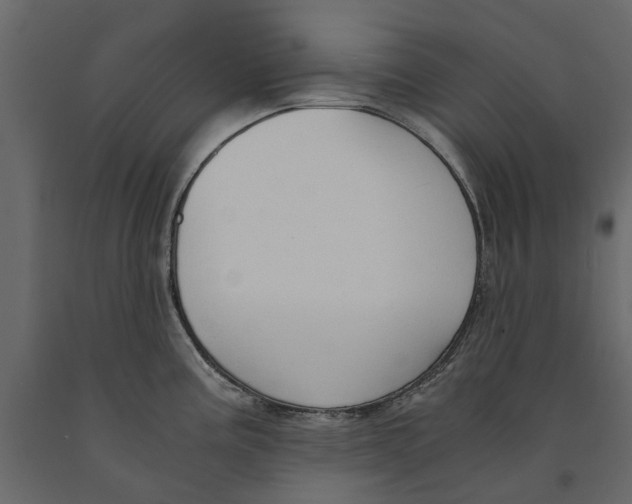 X0000090921195200708271018