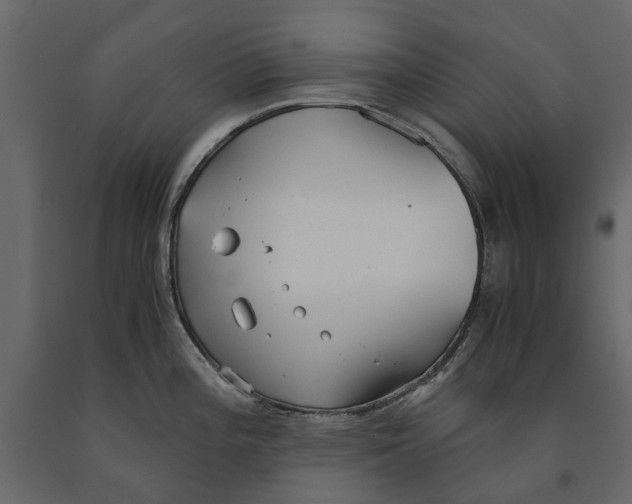 X0000090921196200708271018