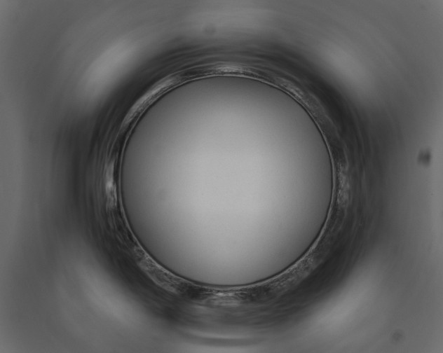 X0000090921198200708271018