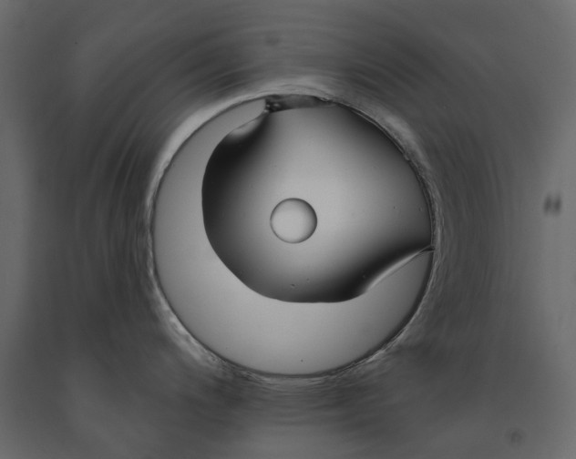 X0000090921200200708271018