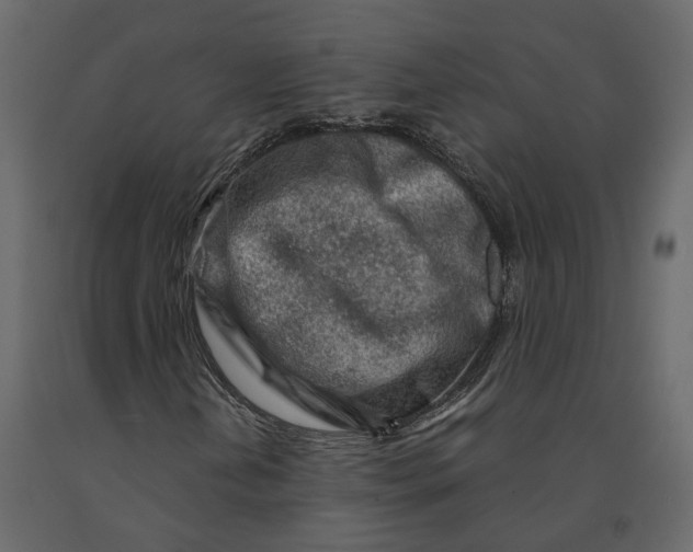 X0000090921202200708271018