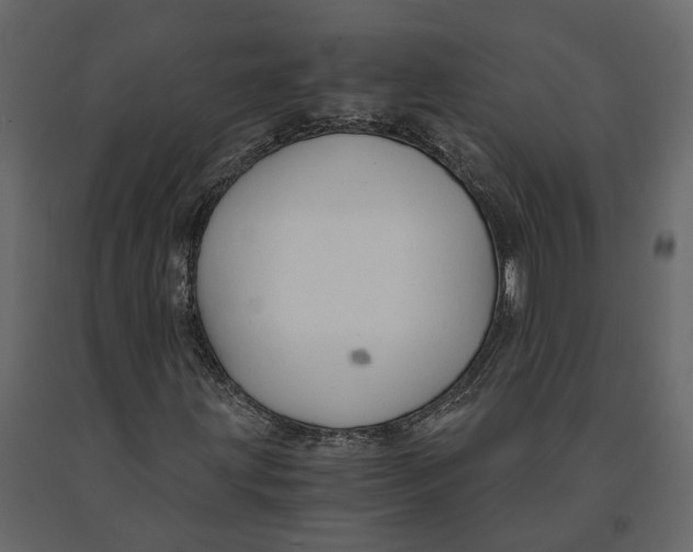 X0000090921203200708271018