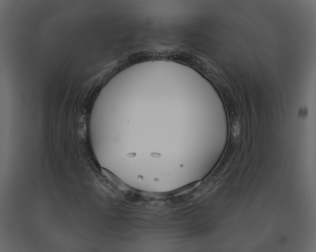 X0000090921204200708271018